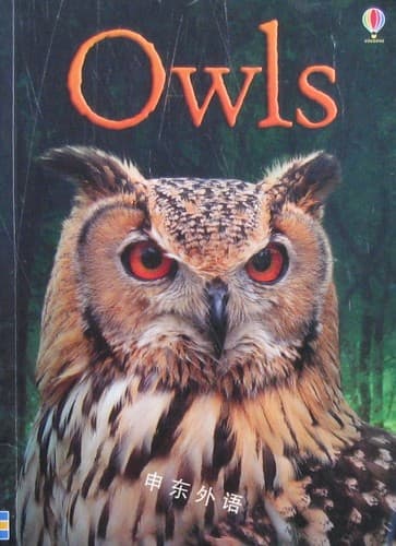 Cover image for Owls