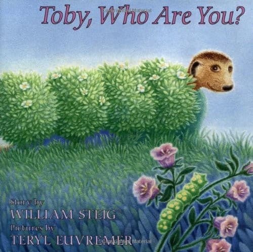 Cover image for Toby, who are you?