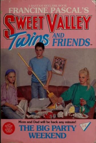 Cover image for BIG PARTY WEEKEND, THE
