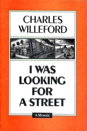 Cover image for I was looking for a street