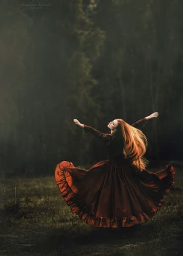 Cover image for The bird and the sword