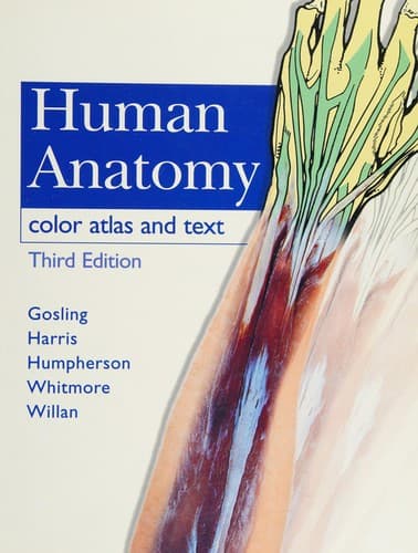 Cover image for Human anatomy