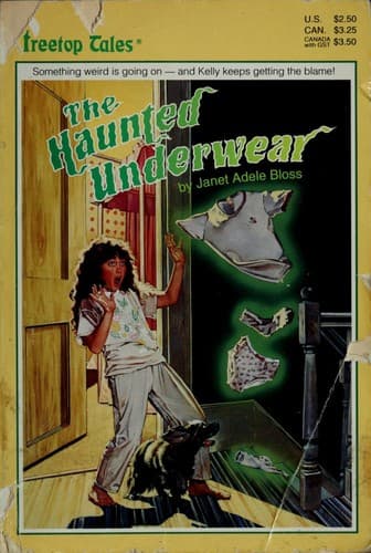Cover image for The haunted underwear