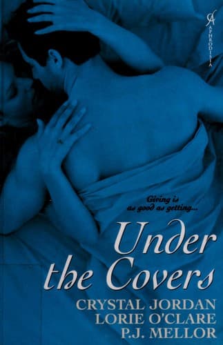 Cover image for Under the covers