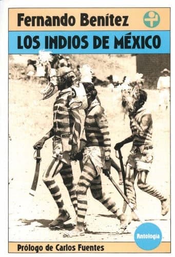 Cover image for Los indios de México