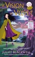Cover image for A Vision in Velvet