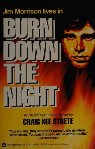 Cover image for Burn down the night