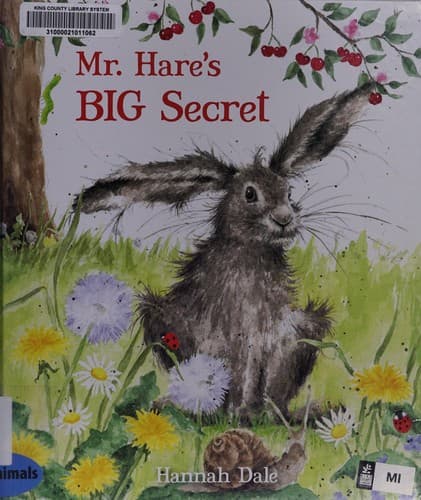 Cover image for Mr. Hare's big secret