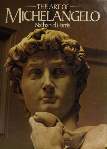 Cover image for The art of Michelangelo