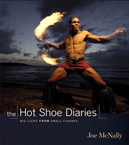 Cover image for The Hot Shoe Diaries