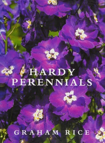 Cover image for Hardy perennials