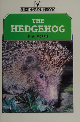 Cover image for The hedgehog