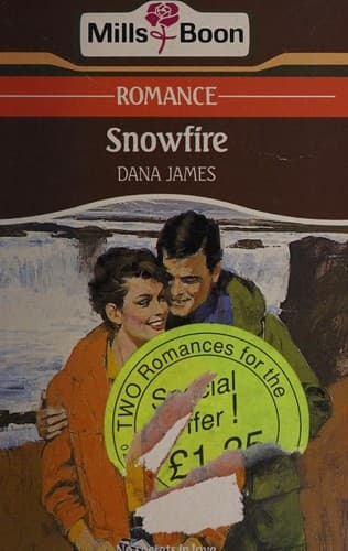 Cover image for Snowfire.