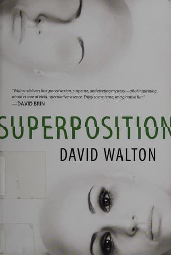 Cover image for Superposition