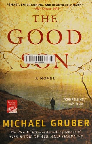 Cover image for The good son