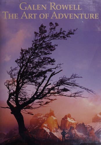 Cover image for The art of adventure