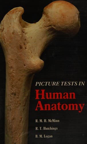 Cover image for Picture tests in human anatomy