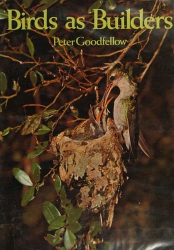 Cover image for Birds as builders