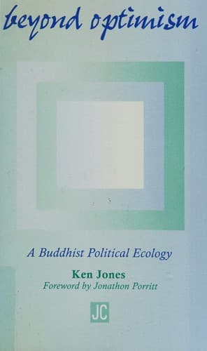 Cover image for Beyond optimism