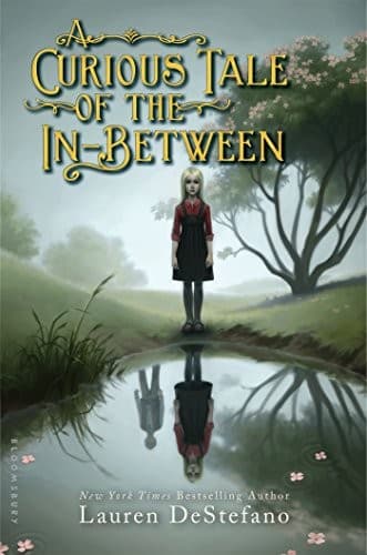 Cover image for A Curious Tale of the In-Between