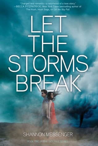 Cover image for Let the Storm Break