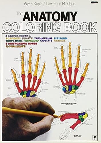 Cover image for Anatomy Coloring Book