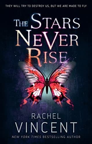 Cover image for The Stars Never Rise