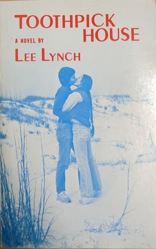 Cover image for Toothpick house