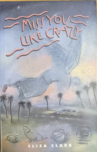 Cover image for Miss you like crazy