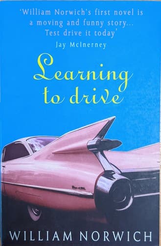Cover image for Learning to drive