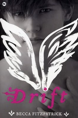 Cover image for Drift