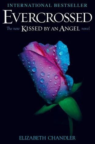 Cover image for Evercrossed
