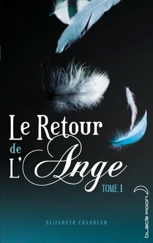 Cover image for Le Retour de L'ange