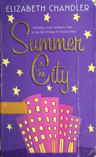 Cover image for Summer in the City