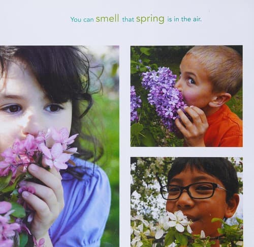 Cover image for Hello spring!