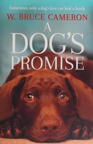 Cover image for A Dog's Promise