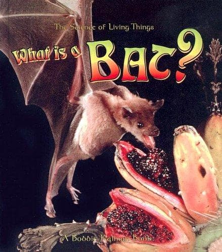 Cover image for What Is a Bat? (Science of Living Things)