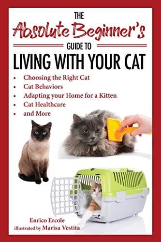 Absolute Beginner's Guide to Living with Your Cat