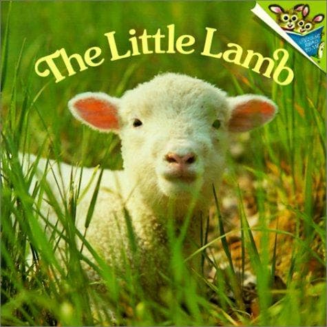 Cover image for Little Lamb