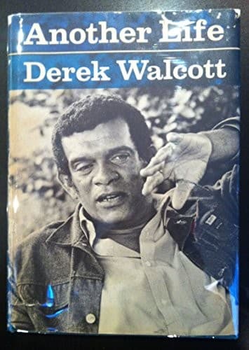 Cover image for Another life.