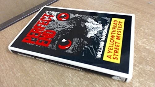 Cover image for Perfect end