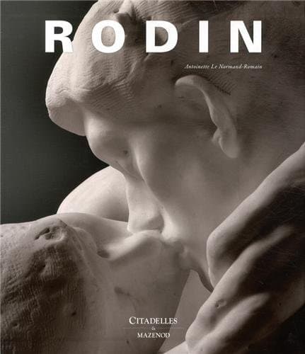 Cover image for Rodin