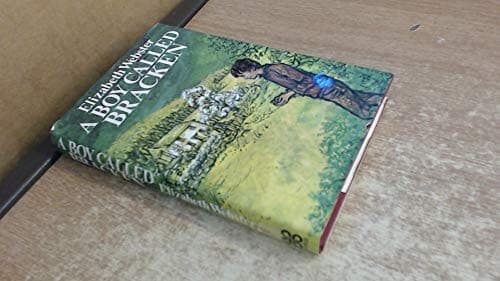 Cover image for A boy called Bracken
