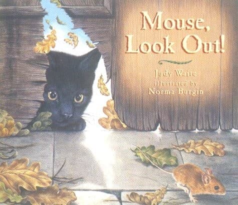 Cover image for Mouse, look out!
