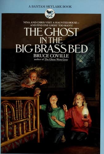 Cover image for The Ghost in the Big Brass Bed