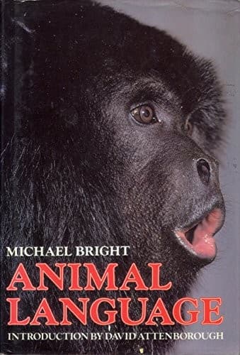 Cover image for Animal language