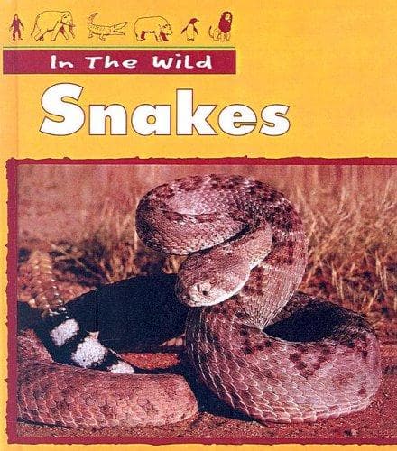 Cover image for Snakes (In the Wild)