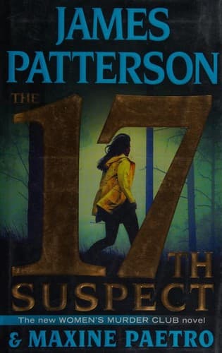 Cover image for The 17th suspect
