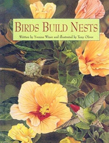 Cover image for Birds Build Nests
