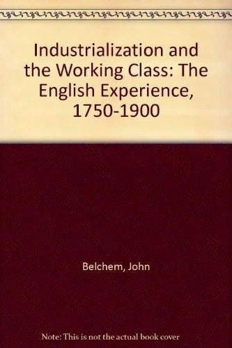 Cover image for Industrialization and the working class